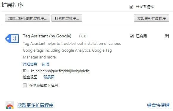 Google Tag Assistant插件